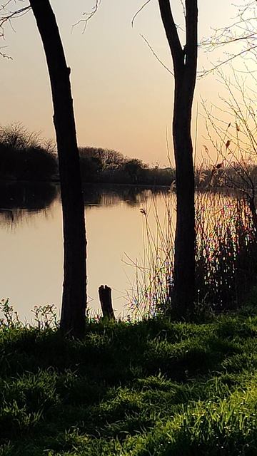 Рыбалка р.Кочеты полное видео на канале!)