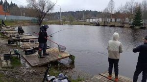 Светлые Горы Форель17 18.04.2026г.