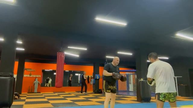 Работа на лапах