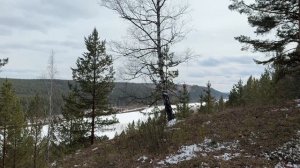 Прогулка по весеннему лесу, Тулун Иркутской области