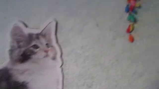 18 апреля  + карта ВТБ 2200 2480 6082 1500