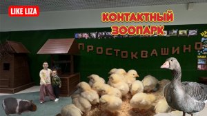 Простоквашино! Контактный зоопарк: кормим червяками сурикатов и цыплят с ладошек. LIKE LIZA