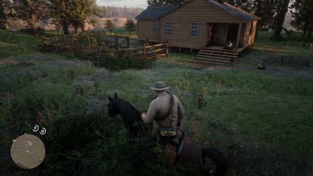 Часть 53. Поддержка угнетенных народов Америки) Прохождение Red Dead Redemption 2