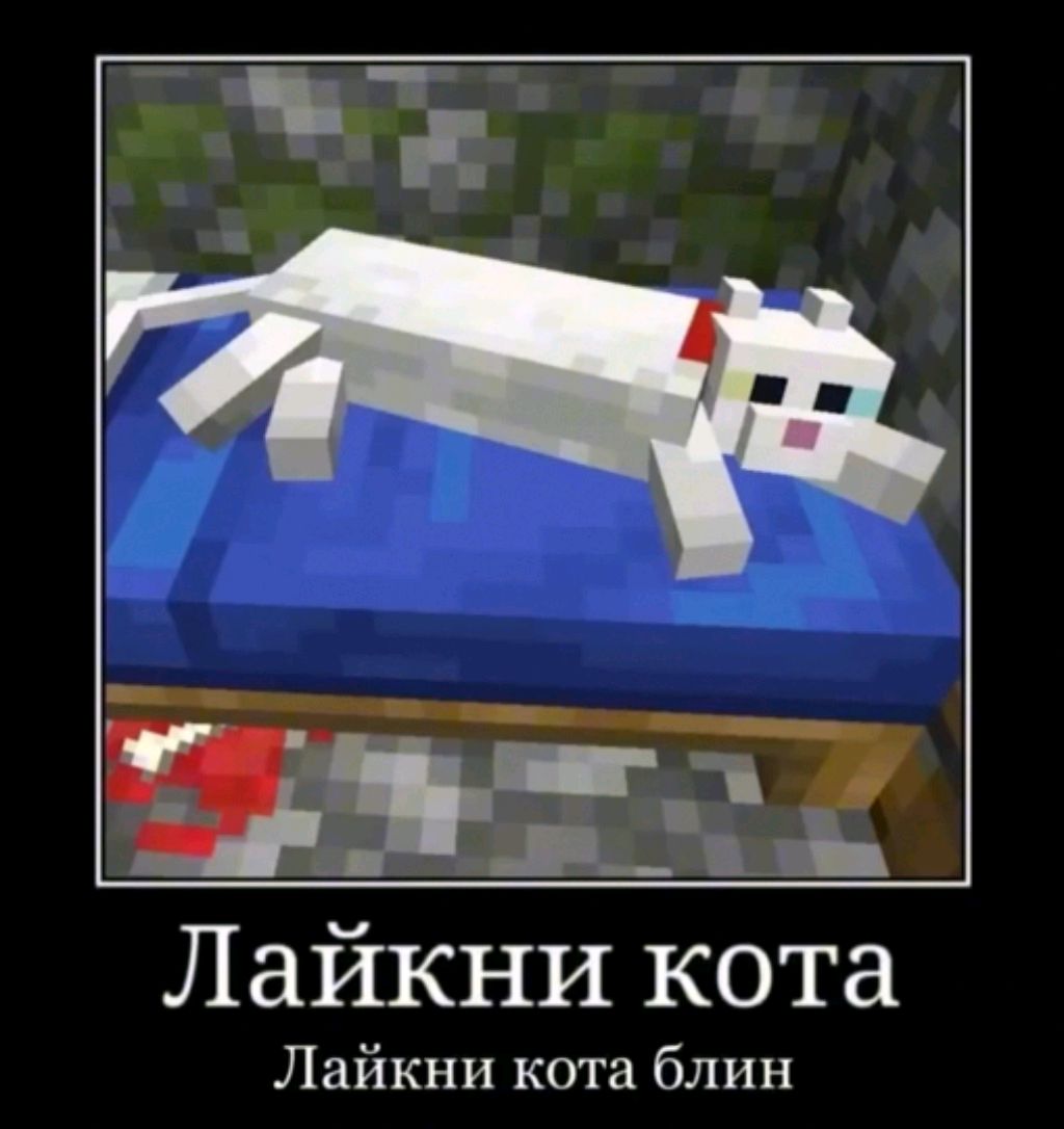 Играю в бабл квас. Будущее видео! (LIVE)