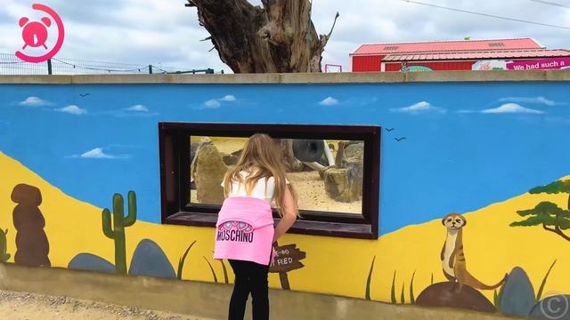 Семейное_путешествие_Насти_Папы_и_Мамы