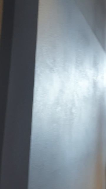 🐶 Собаки кофейни VARKA ☕🐾🐶