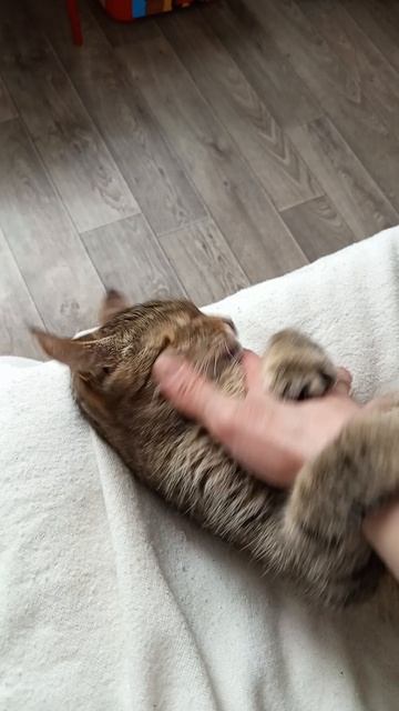 ты победила