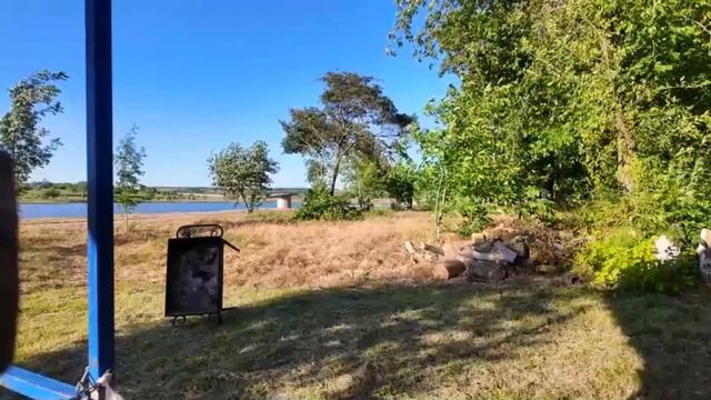 Symphony of Forest Bird Singing   Relaxing soundscape for deep sleep