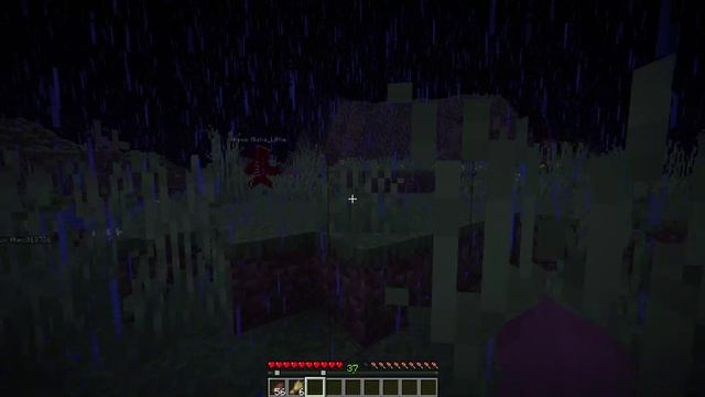 Minecraft 1.21.11 - Сетевая игра  играю на своём сервере часть 2