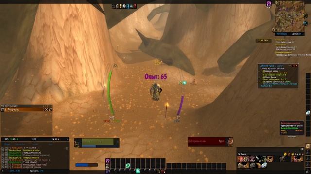 начало пути кота (наверное)