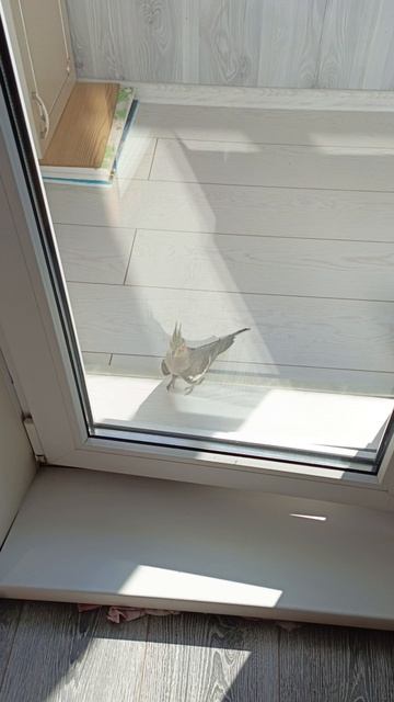 Не пускают домой😂