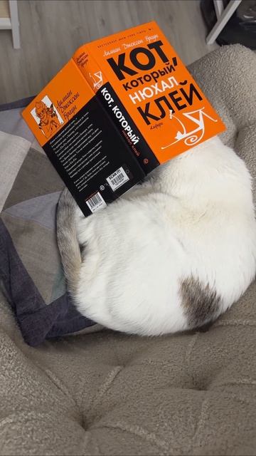 Пусть тебе приснится дивный сон, как летит по небу белый слон