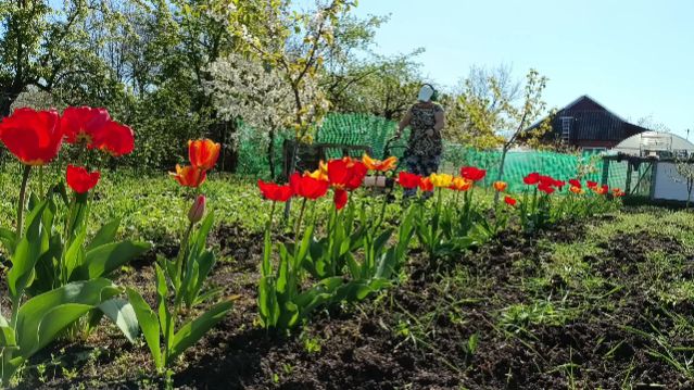 ЖАРКАЯ ПЯТНИЦА, ЖИЗНЬ В СТАНИЦЕ.У МЕНЯ ВЫХОДНОЙ!