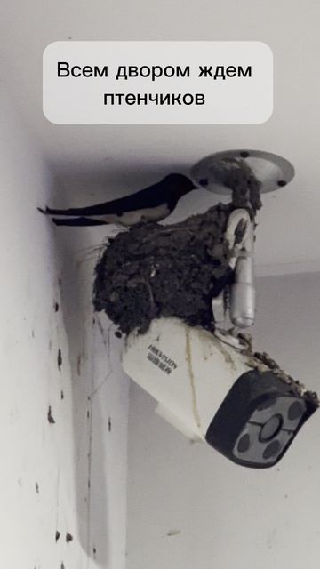 Интересное в Китае | AiRobix Logistics