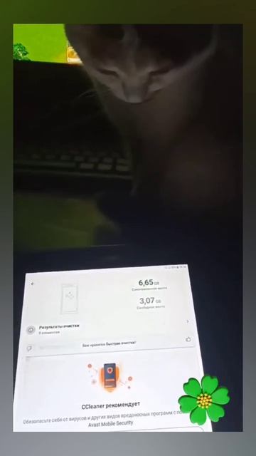 Россия.Сибирь. Ангарск. 18.04.2026г. 🥰🥰🥰 Они для нас СТРАНИЦА В ЖИЗНИ, а мы для них ВСЯ ЖИЗНЬ!