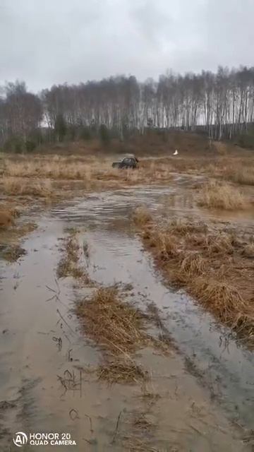 нива через брод