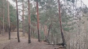 Придумать себе врага