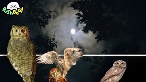 Watch'em Fall Turkish march PushBaby Official