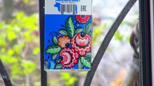 (4)Воробьи и синицы