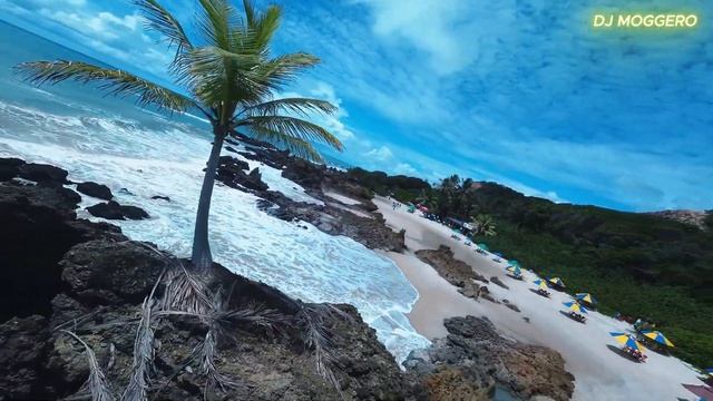 Summer On Fire 🔥🌴 ｜ DJ Moggero ｜ Reggae Summer Vibes Hit 2026 ｜ Official Music Video