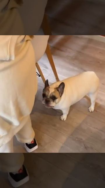 Какой разговорчивый попался