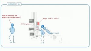 How I individualize fluid resuscitation in septic shock Xavier Monnet