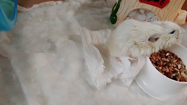 Метруся.18.04.2026