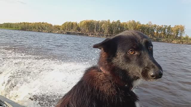 Человек труда о нас