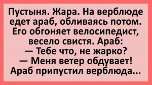 Анекдоты | Пустыня, жара, араб на верблюде... | Анекдоты смешные | Юмор
