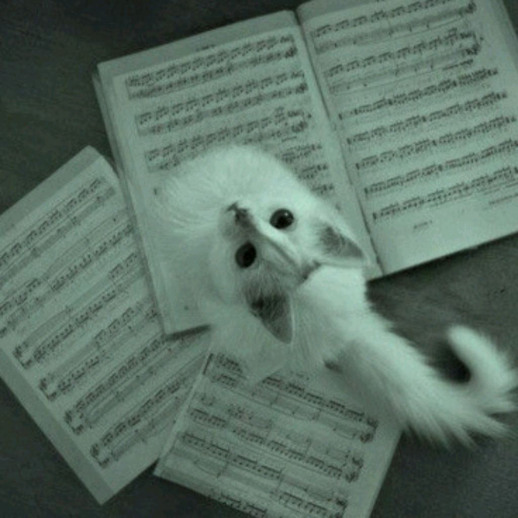 Разговариваем,отвечу именно на твой вопрос 😉🫵