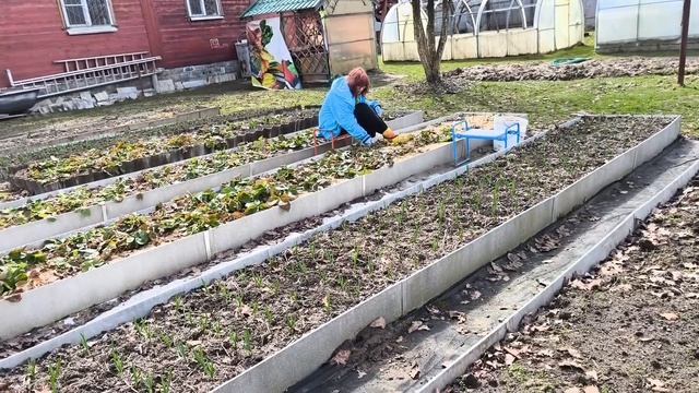 18 апреля. В Субботу на даче.Московская область.