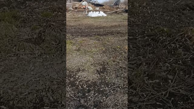 VID20260418182426.mp4