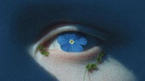 Городская сказка. Брат мой Люциус.Вторая часть./Всем оклеветанным посвящается/