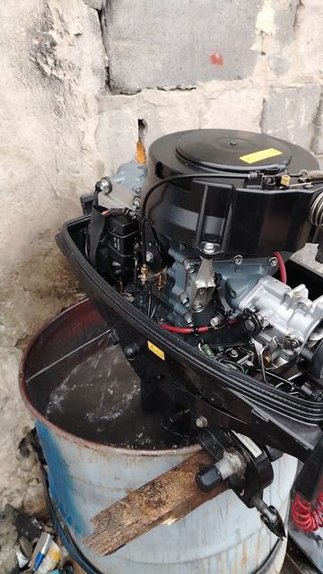 Работа двигателя Suzuki DT30S