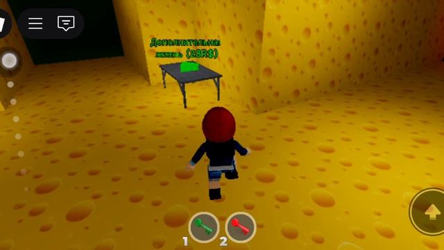 SVID_20250318_151651_1.mp4