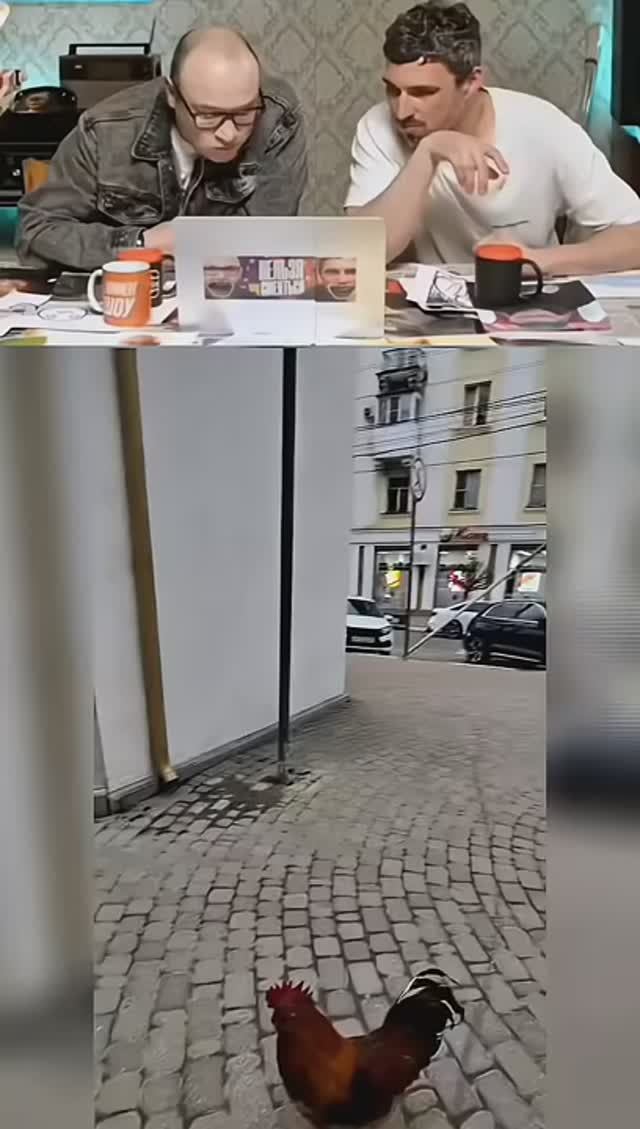 Повел курицу в КФСи.