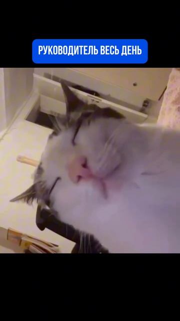 Это был самый лучший день в его жизни🤤