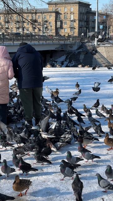 Дневная прогулка🤗 Просто смотри и расслабься😉
