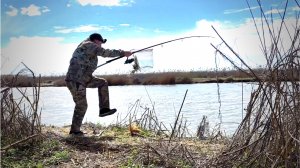 ВЕСЕННЯЯ РЫБАЛКА!!Отличная ПОКЛЁВКА сазана на МАКУХУ))