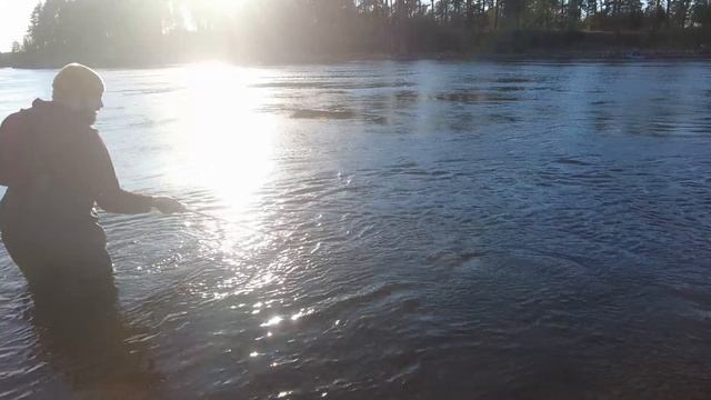 р.Бурная.Корюшка