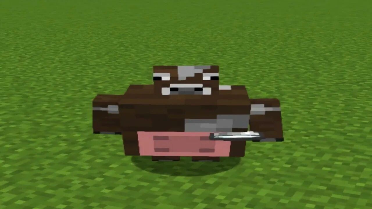 Выживание в майне,нобик в террарие, и Данила-большая колбаса в майне!