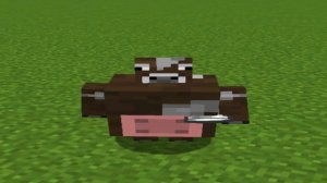 Выживание в майне,нобик в террарие, и Данила-большая колбаса в майне!