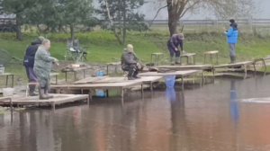 Светлые Горы Форель4 18.04.2026г.