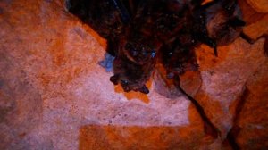 Каменоломня Ледяная красавица 20.02.11