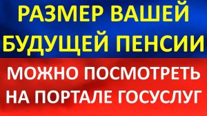 Как Узнать размер будущей пенсии через Госуслуги