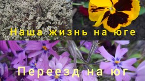 18-04-26/ Живём и работаем на Кубани/Покупки/Готовлю/Цветы/Садовые дела/ Наша жизнь на юге/Переезд/