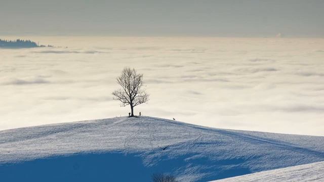 Обсуждение темы Как одержать победу и как ее потом сохранить в период великой скорби