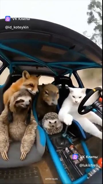 на разборки едут 🔥😂