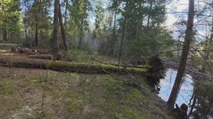 Речка Вольная