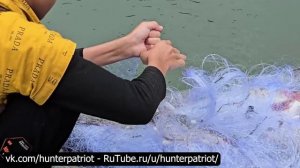 🐟🏴☠️ Шотландия: Ловля белого амура неводом — крупный улов на продажу!